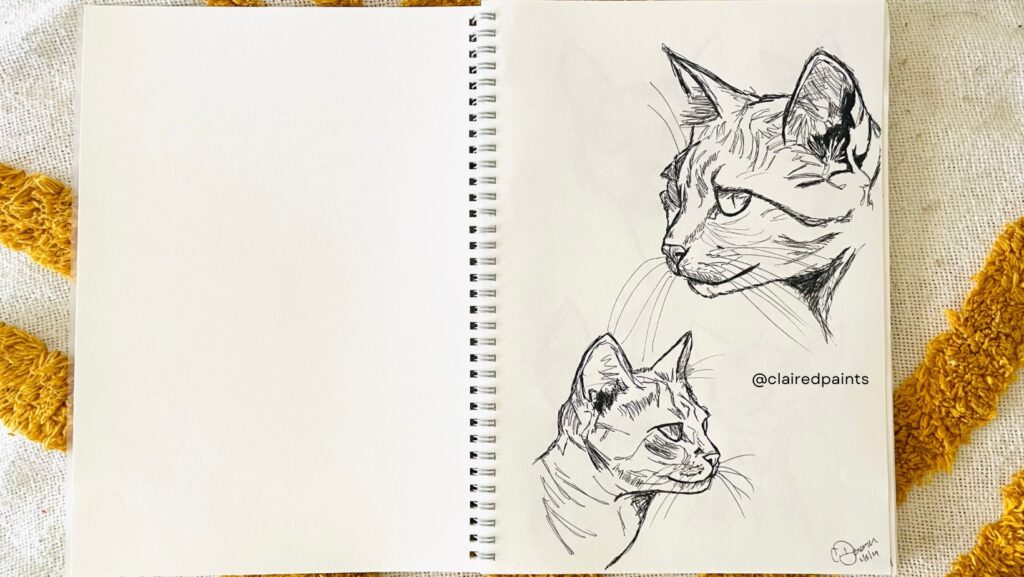 Cat drawings -  sketch book 