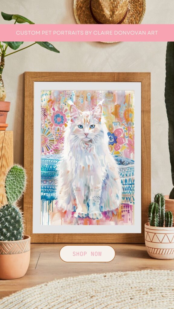 Cat drawings - Custom pet portraits by Claire Donovan Art - beautiful long haired white cat