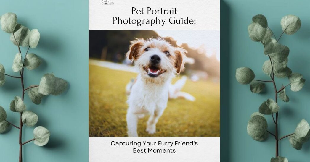 Dog drawings - Pet portrait guide free download