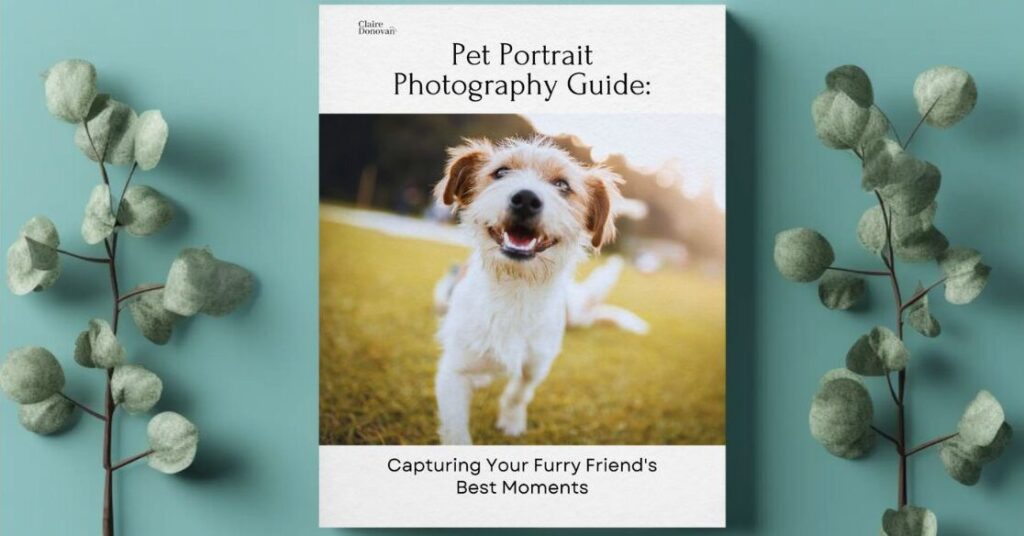 Pet-portrait-guide